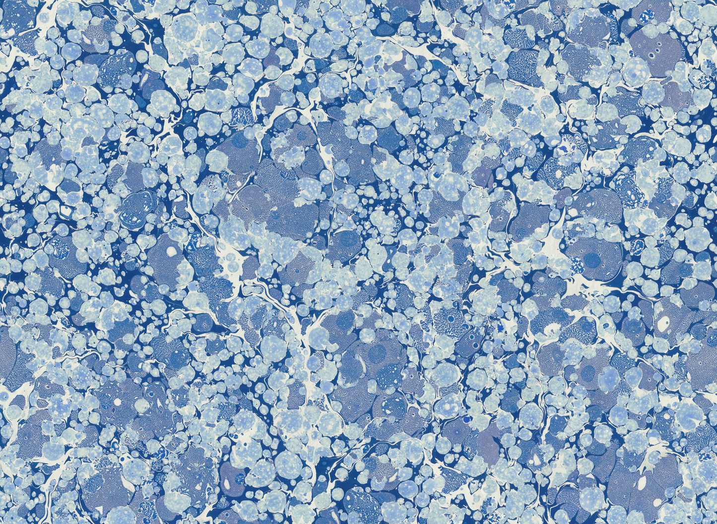 In Stock: Printed Wallpaper - 'Ditzy' Col: Blue Daze - Mica Coated Non-Woven