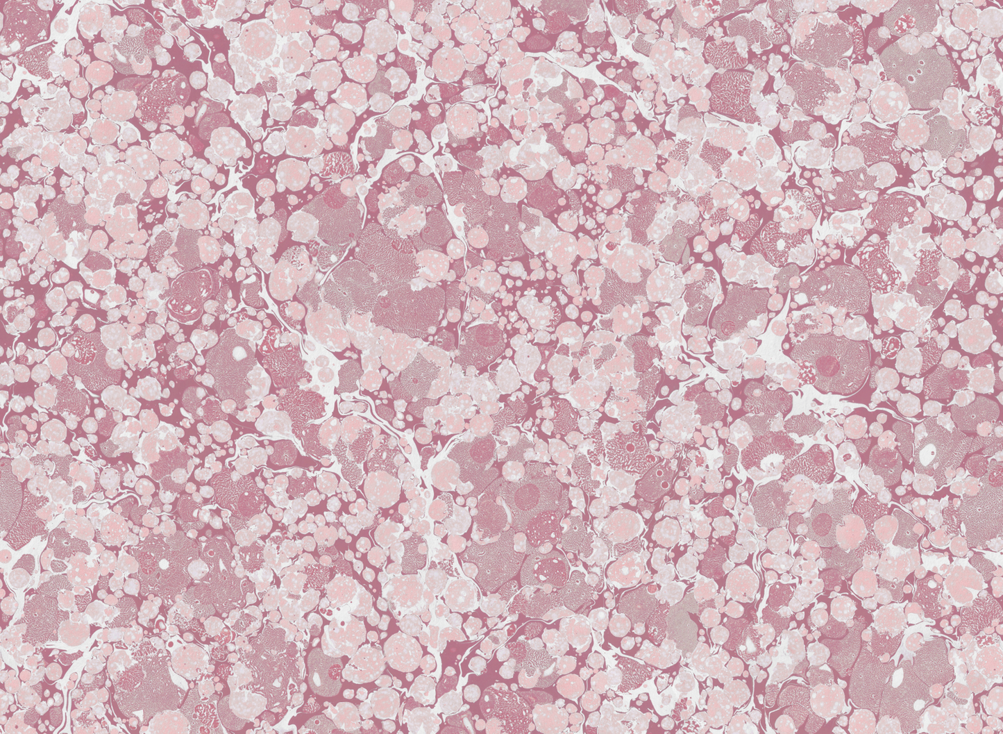 In Stock: Printed Wallpaper - 'Ditzy' Col: Eglantine- Mica Coated Non-Woven